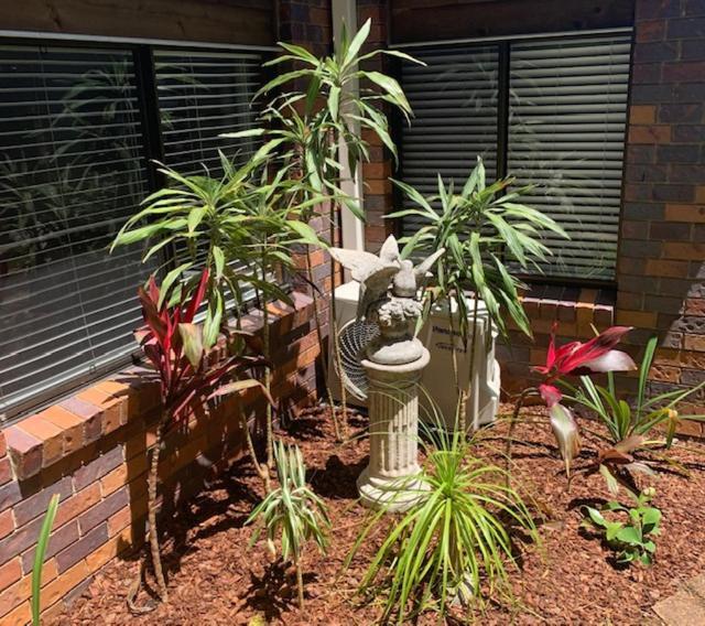 Montville Holiday Apartments Luaran gambar